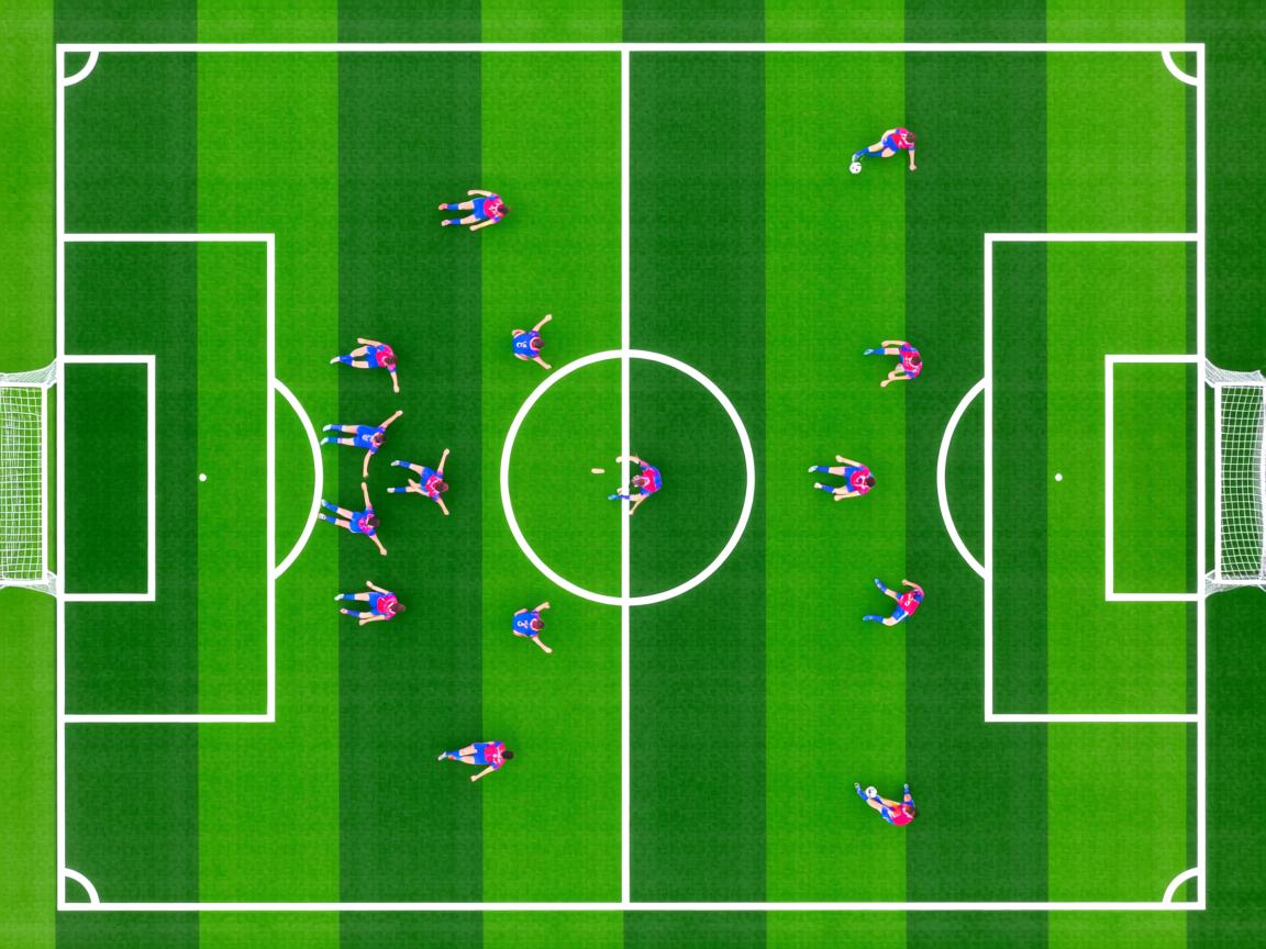 开云体育app注册-CBA球队夏季集训展开 提升体能储备,cba的训练强度有多大 第3张