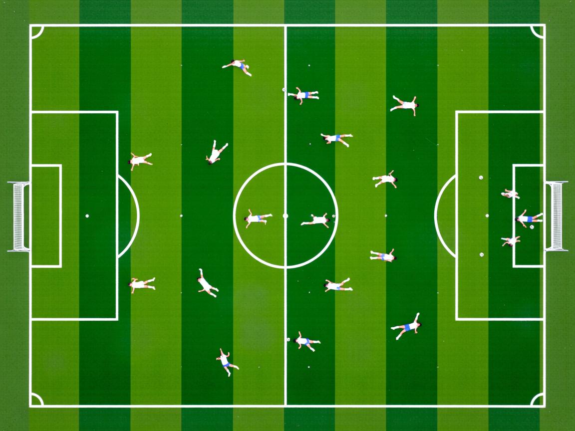 kaiyun网址-CBA球队完善青训培养体系,cba青训队年龄要求 第3张