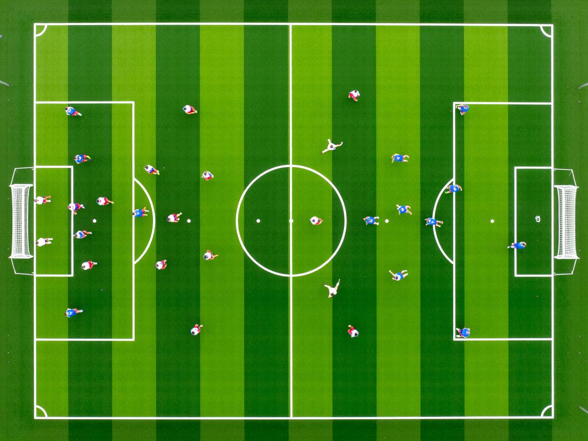 开云体育网站-世界前十蛙泳选手划水效率分析,蛙泳 划水率 第3张